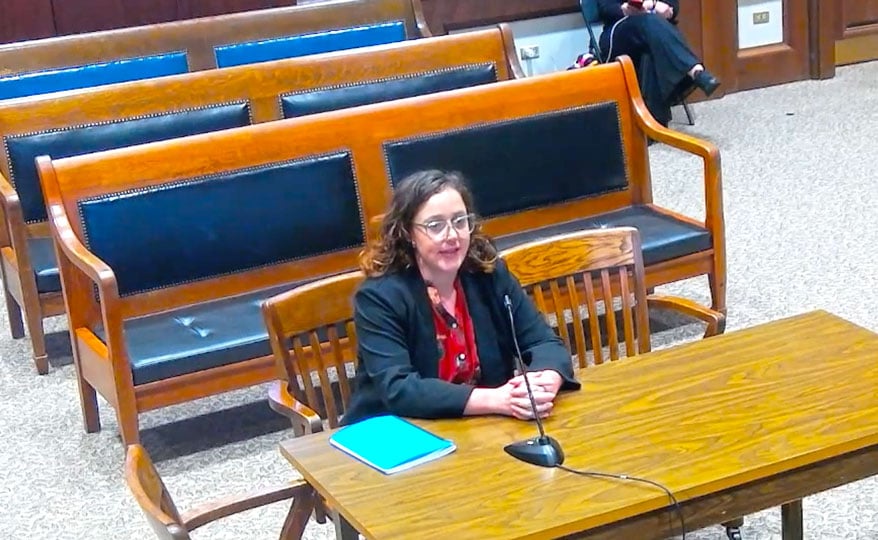 DSW Testifies in Support of Expanding the Definition of Police Sexual Violence in Massachusetts