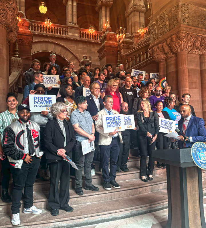 DSW and allies at the New York state capitol. DSW and allies at the New York state capitol.