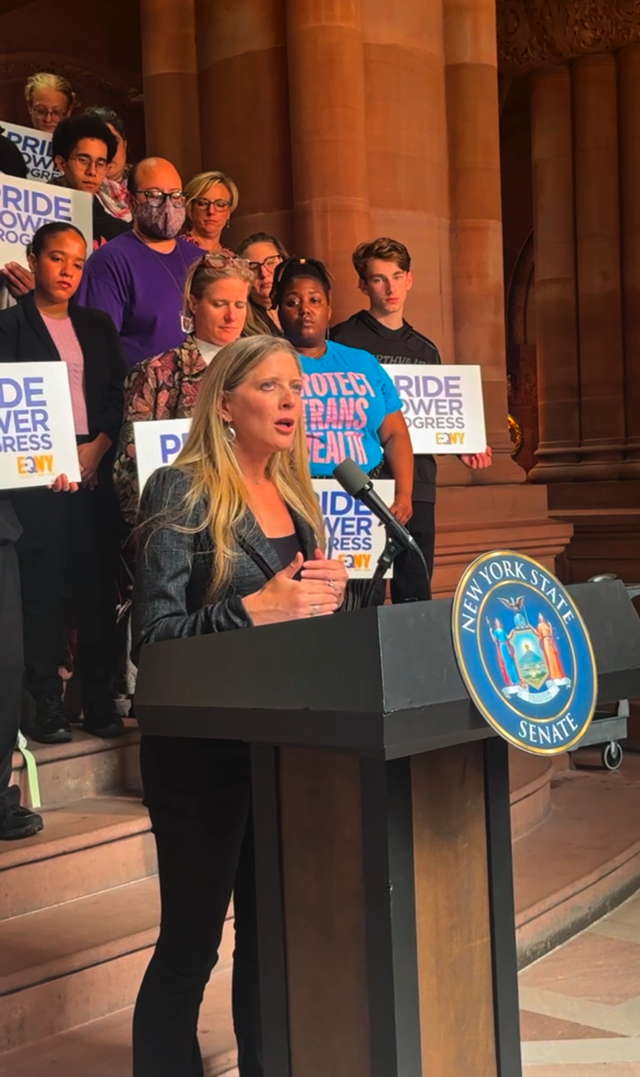 DSW Legal Director Melissa Broudo speaks during a press conference at the New York State Capitol in 2025.
