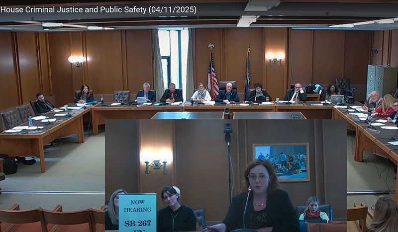 Rebecca Cleary testifies before the New Hampshire House Criminal Justice and Public Safety Committee. Rebecca Cleary testifies before the New Hampshire House Criminal Justice and Public Safety Committee.
