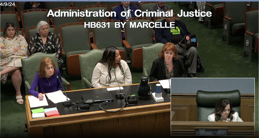 DSW’s Rebecca Cleary testifies before the LA House Administration Criminal Justice Committee.