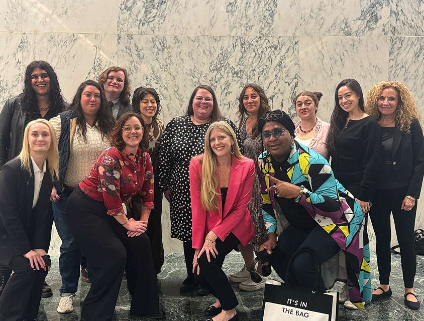 DSW and allies at the New York state capitol. DSW and allies at the New York state capitol.