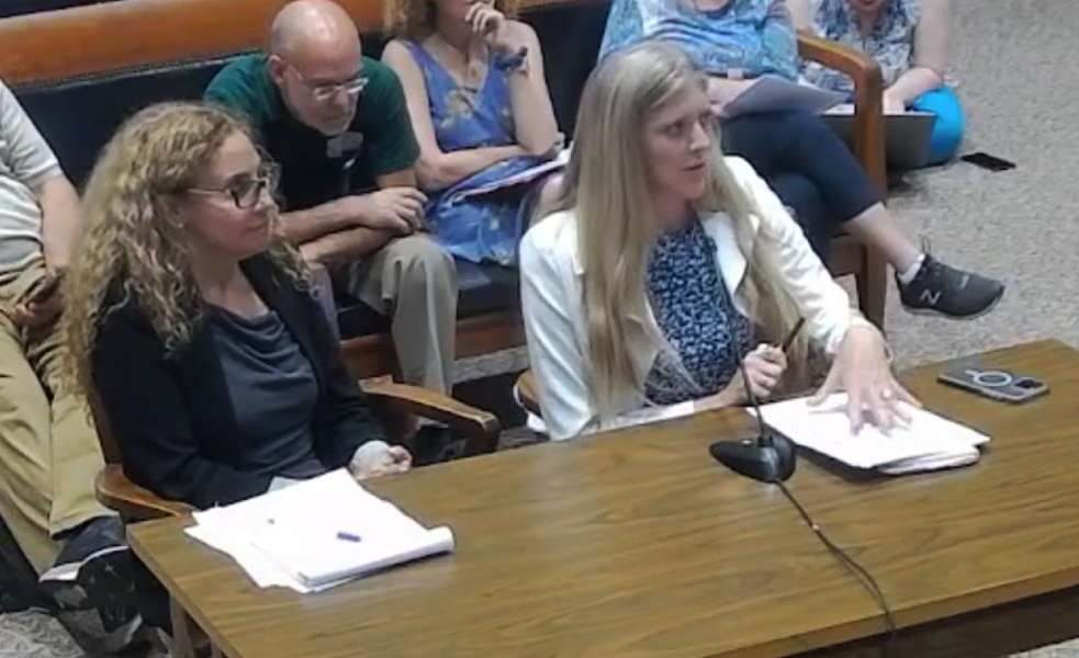 DSW Volunteer Attorney Alison Kolins and DSW Legal Director Melissa Broudo testify before the Massachusetts Legislature. DSW Volunteer Attorney Alison Kolins and DSW Legal Director Melissa Broudo testify before the Massachusetts Legislature.