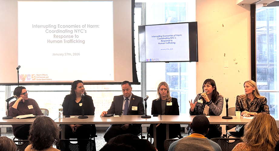 DSW Legal Director Contributes Expertise at NYC Mayor’s Office Convening on Human Trafficking