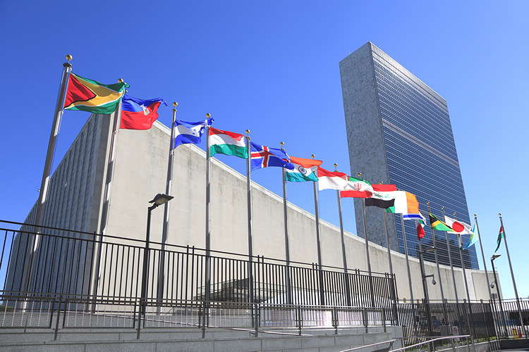The UN Calls for Decriminalization